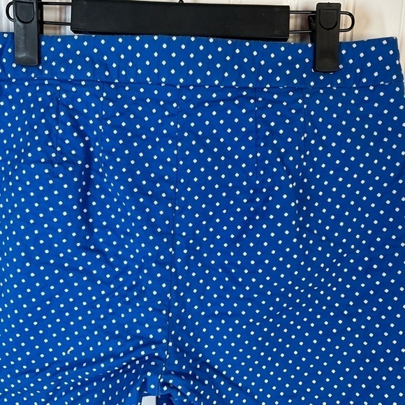 Talbots Hampshire Curvy Polka Dot Pants - Picture 4 of 4